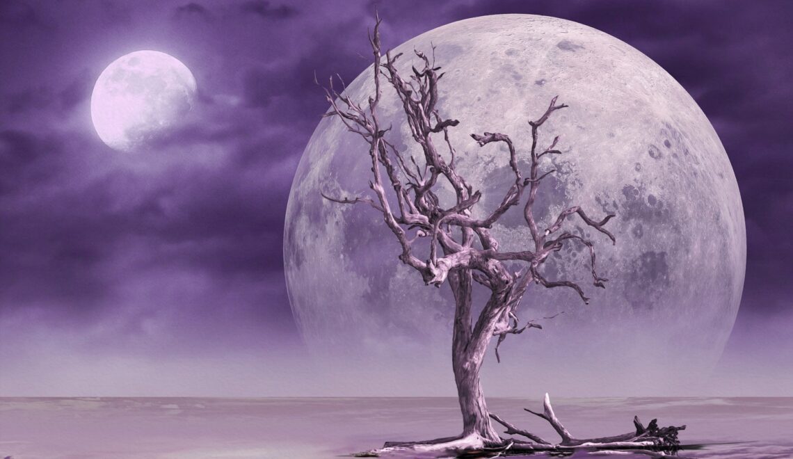 sbírká básní Nick Ray