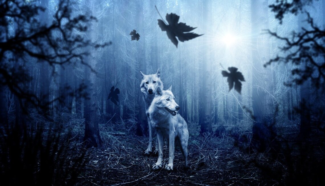 sbírká básní Nick Ray