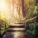 collection of poetry Nick Ray