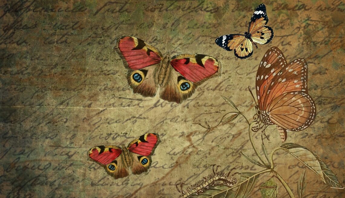 collection of poetry Nick Ray