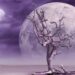 collection of poetry Nick Ray