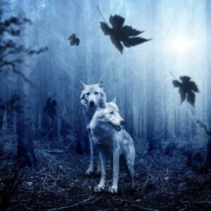 collection of poetry Nick Ray