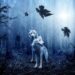 collection of poetry Nick Ray