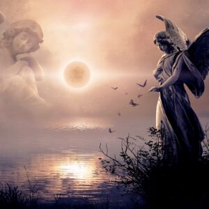 collection of poetry Nick Ray