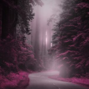 collection of poetry Nick Ray