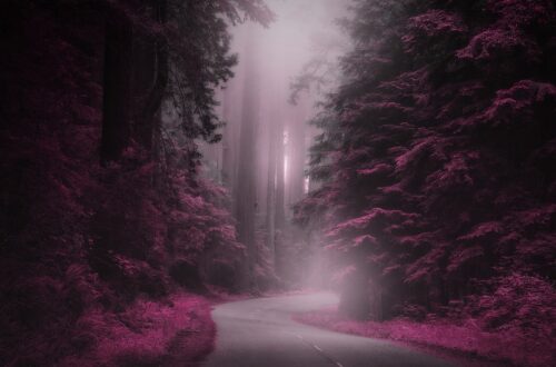 collection of poetry Nick Ray