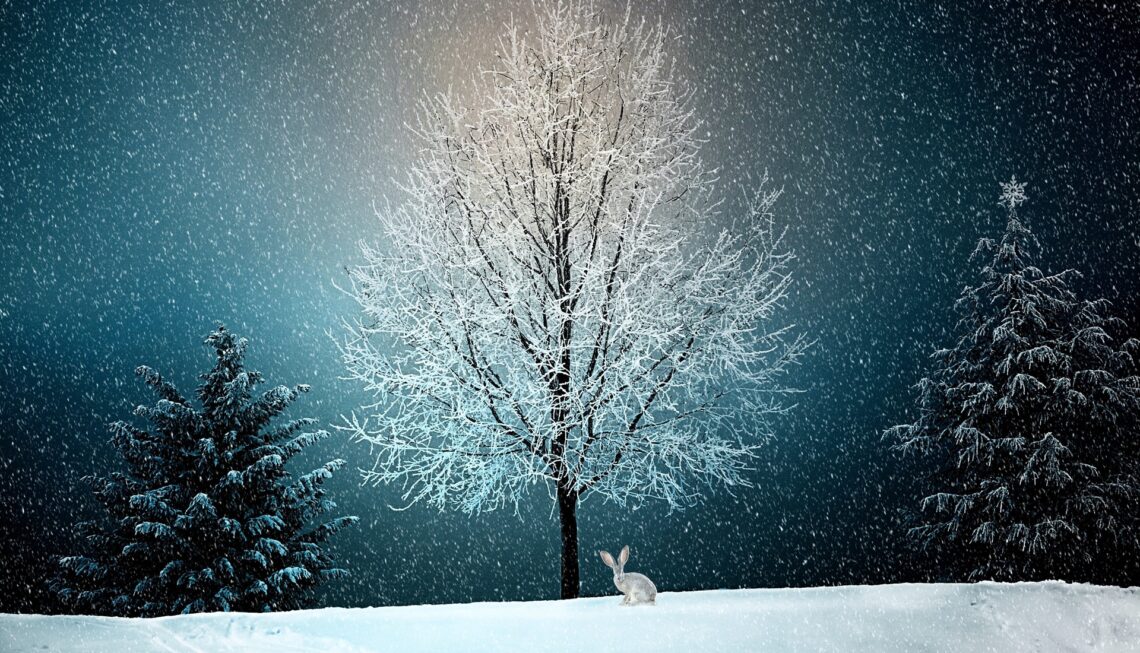 A Christmas tale about a snowflake and a special wish.