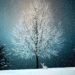A Christmas tale about a snowflake and a special wish.