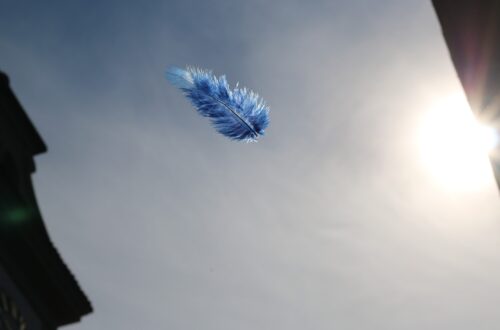 What would it be like to meet an angel? The story of one dinner and unfinished coffee.
