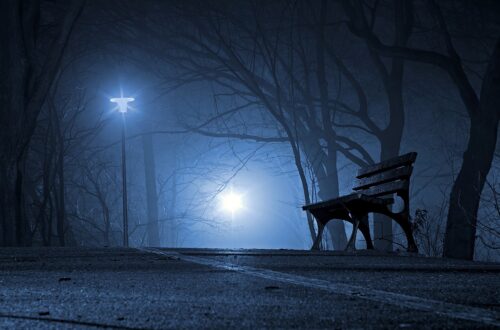 The heart sometimes takes us where it feels it will be beautiful.
